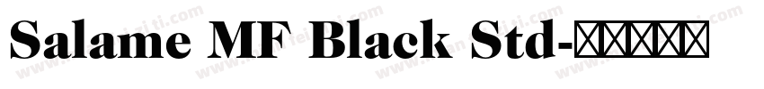Salame MF Black Std字体转换